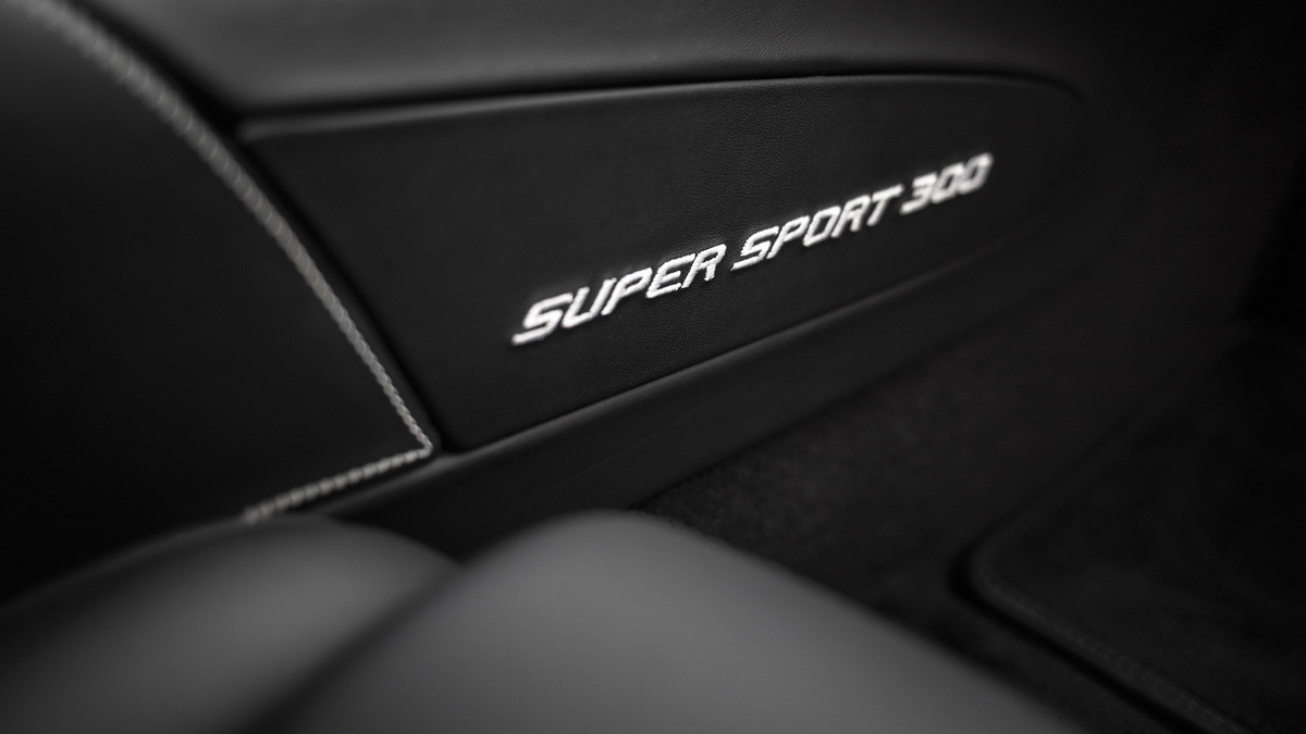 last-bugatti-veyron-super-sport-coupe-auction (13).jpg