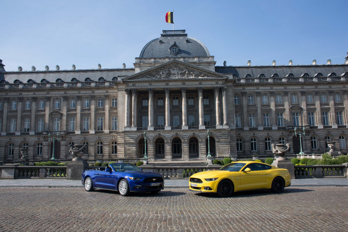 Mustang-Belgium.jpg