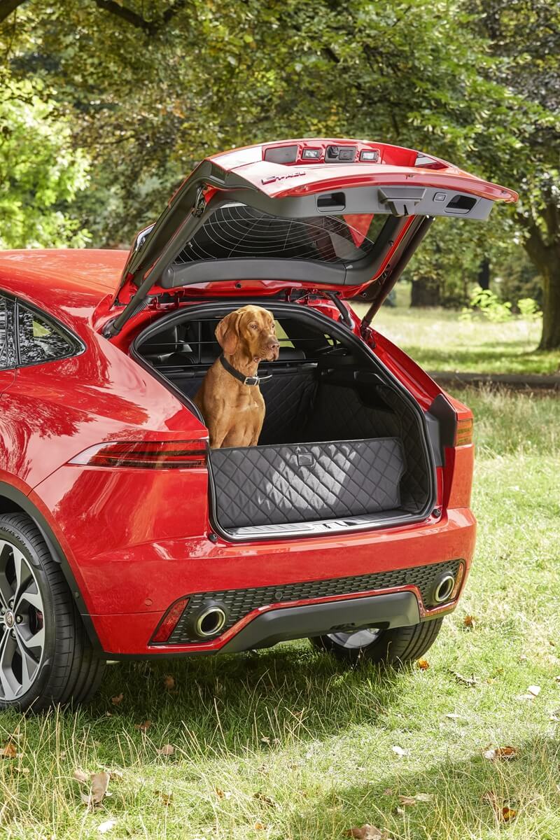 Jag_Pet_Products_E-PACE_Image_111218_005.jpg