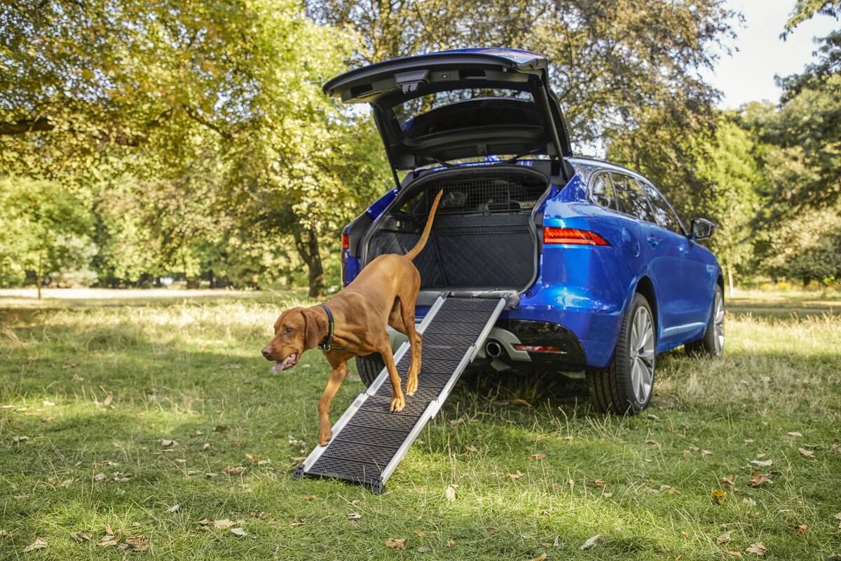 Jag_Pet_Products_F-PACE_Ramp_Image_111218_002.jpg