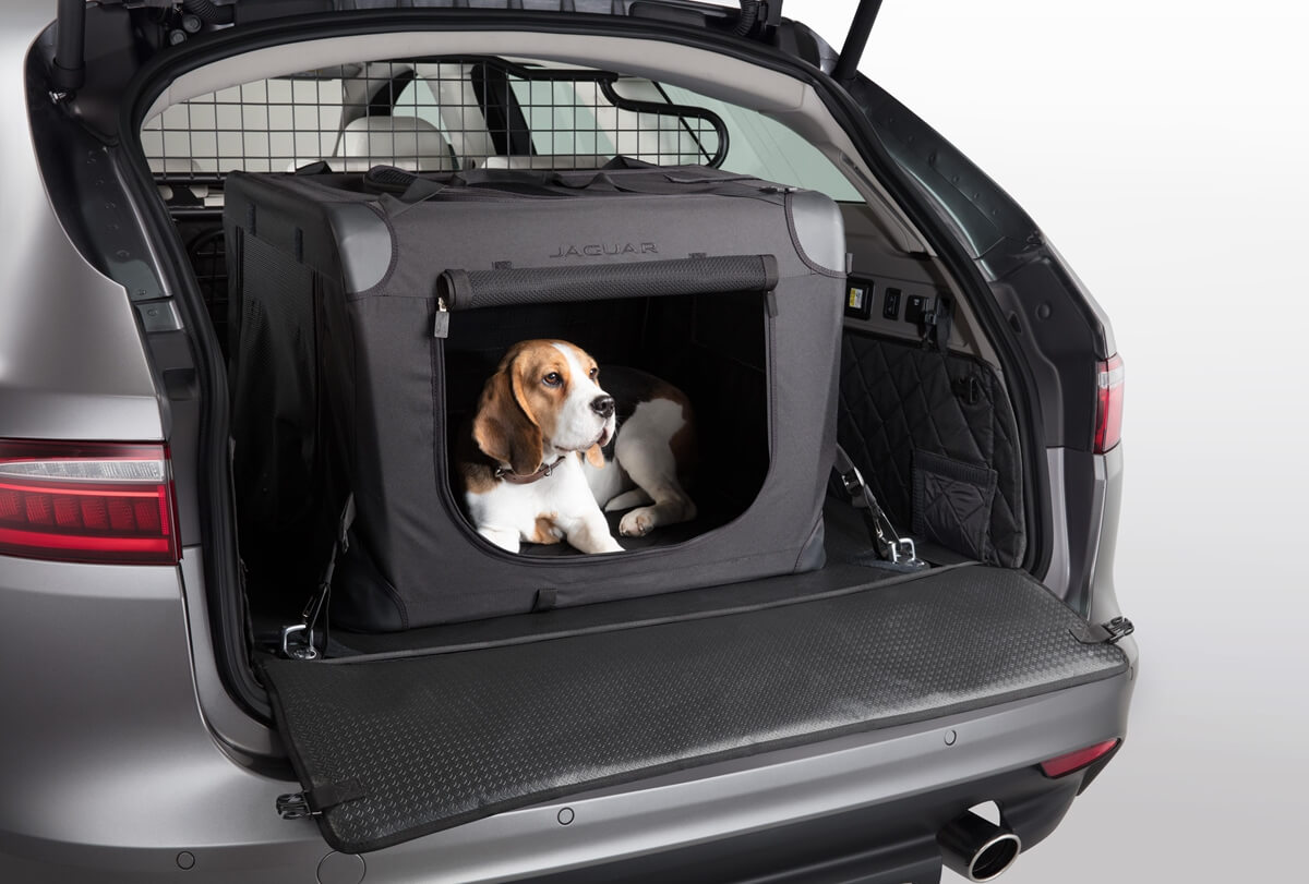 Jag_Pet_Products_XF_Carrier-car_Body_Image_111218_056.jpg