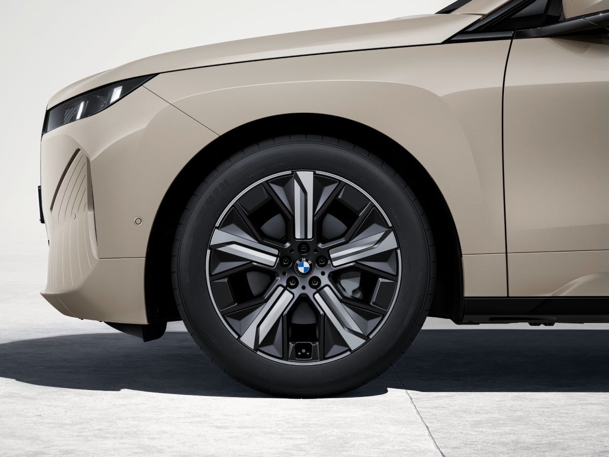 P90585032_lowRes_the-new-bmw-ix-xdriv.jpg