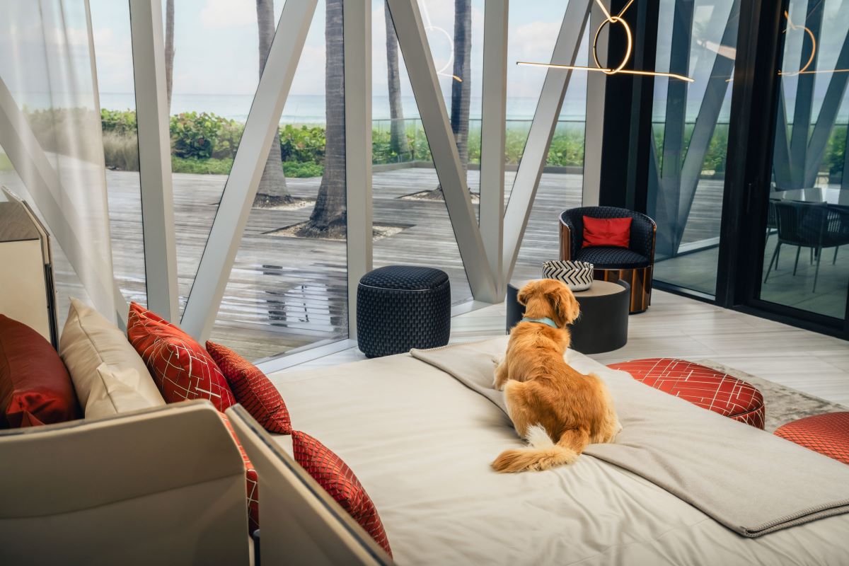 Miami Residences Pet Spa - 2.jpg