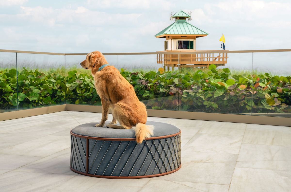 Miami Residences Pet Spa - 5.jpg