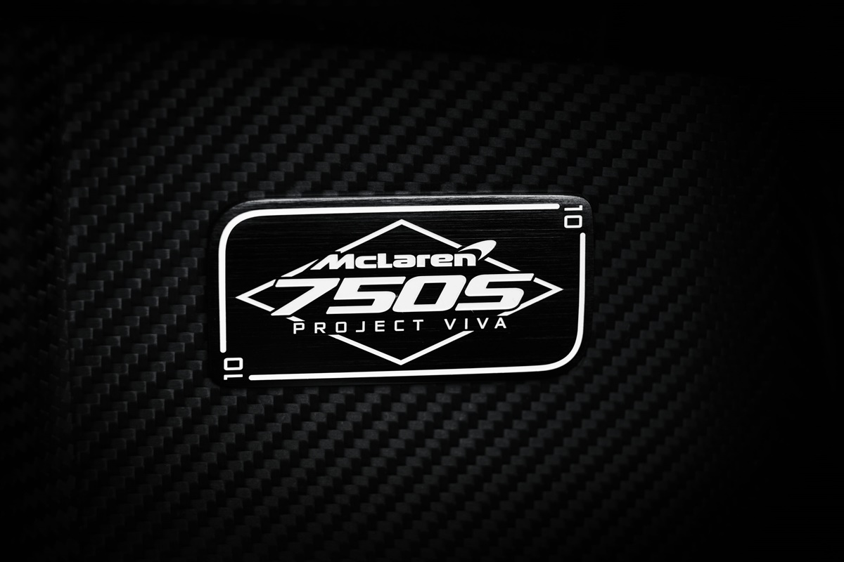 21. Project Viva plaque.jpg