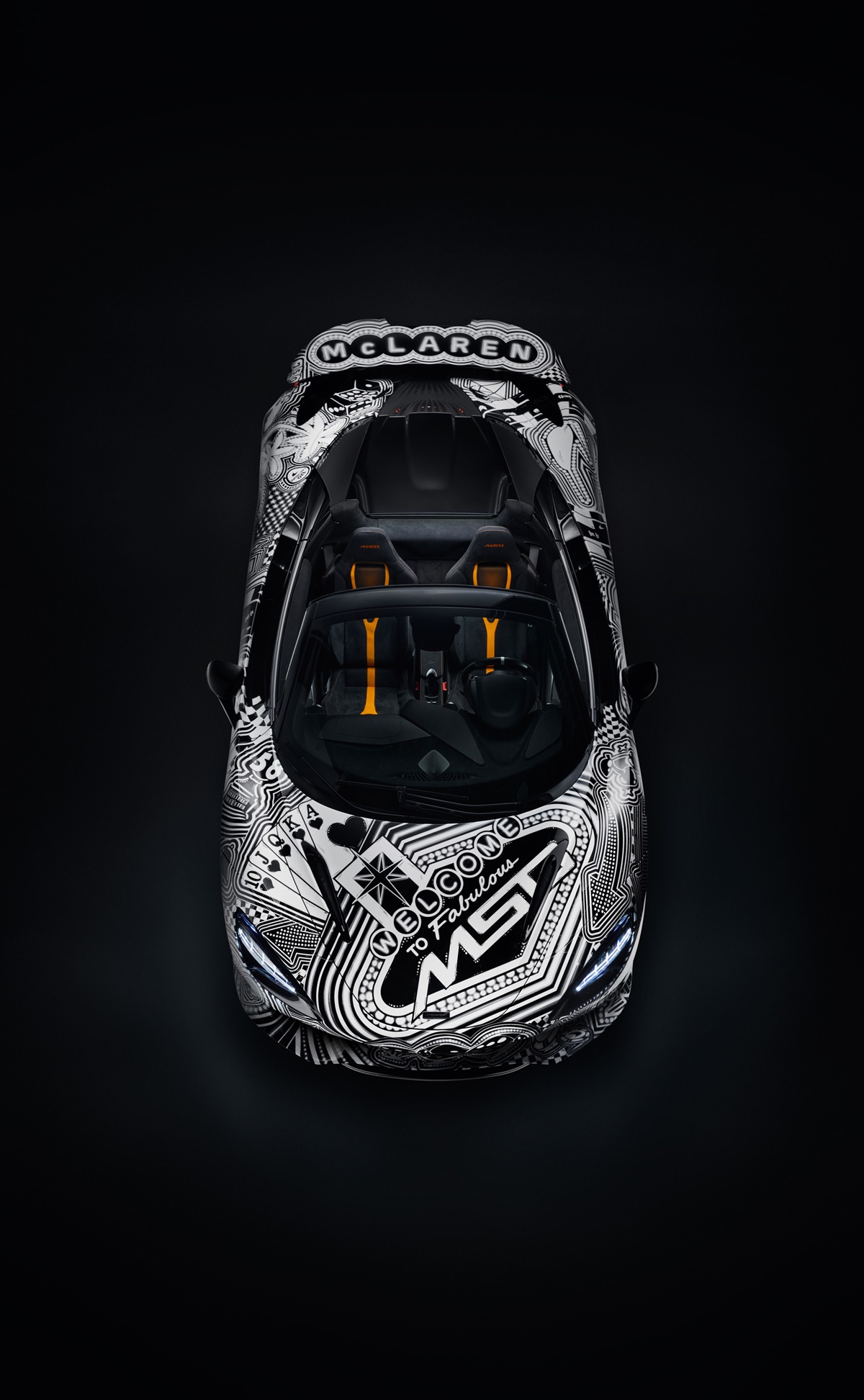 6. Project Viva overhead.jpg