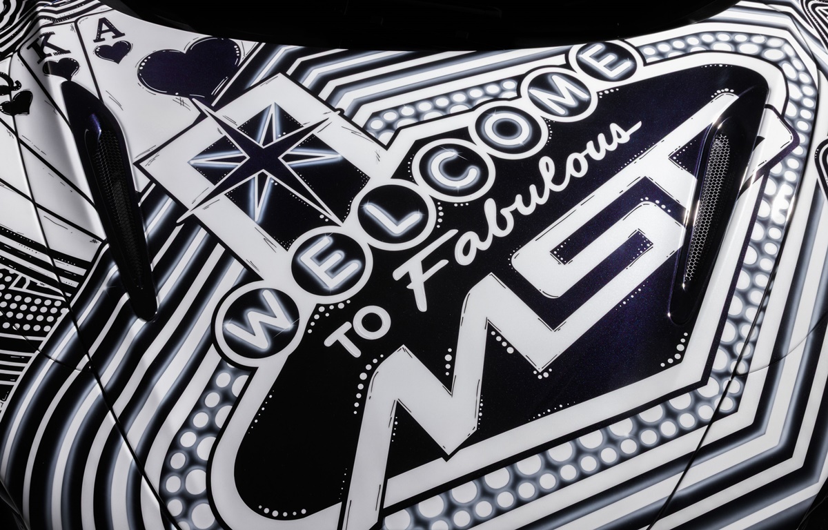 7. Project Viva MSO logo.jpg