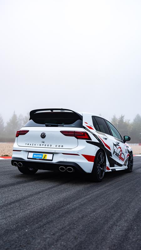BILSTEIN25_082008285207601SVS_SVS.jpg