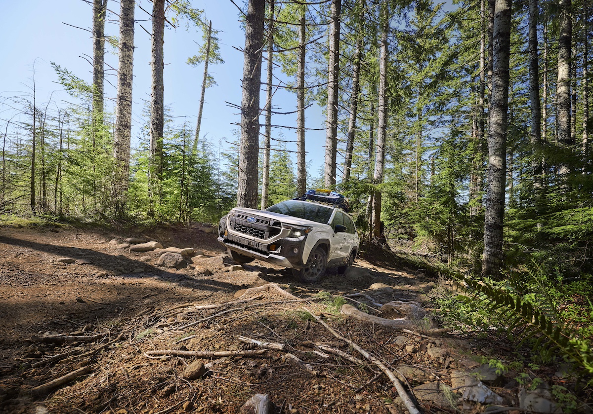 26TDI_FORWpl008.jpg