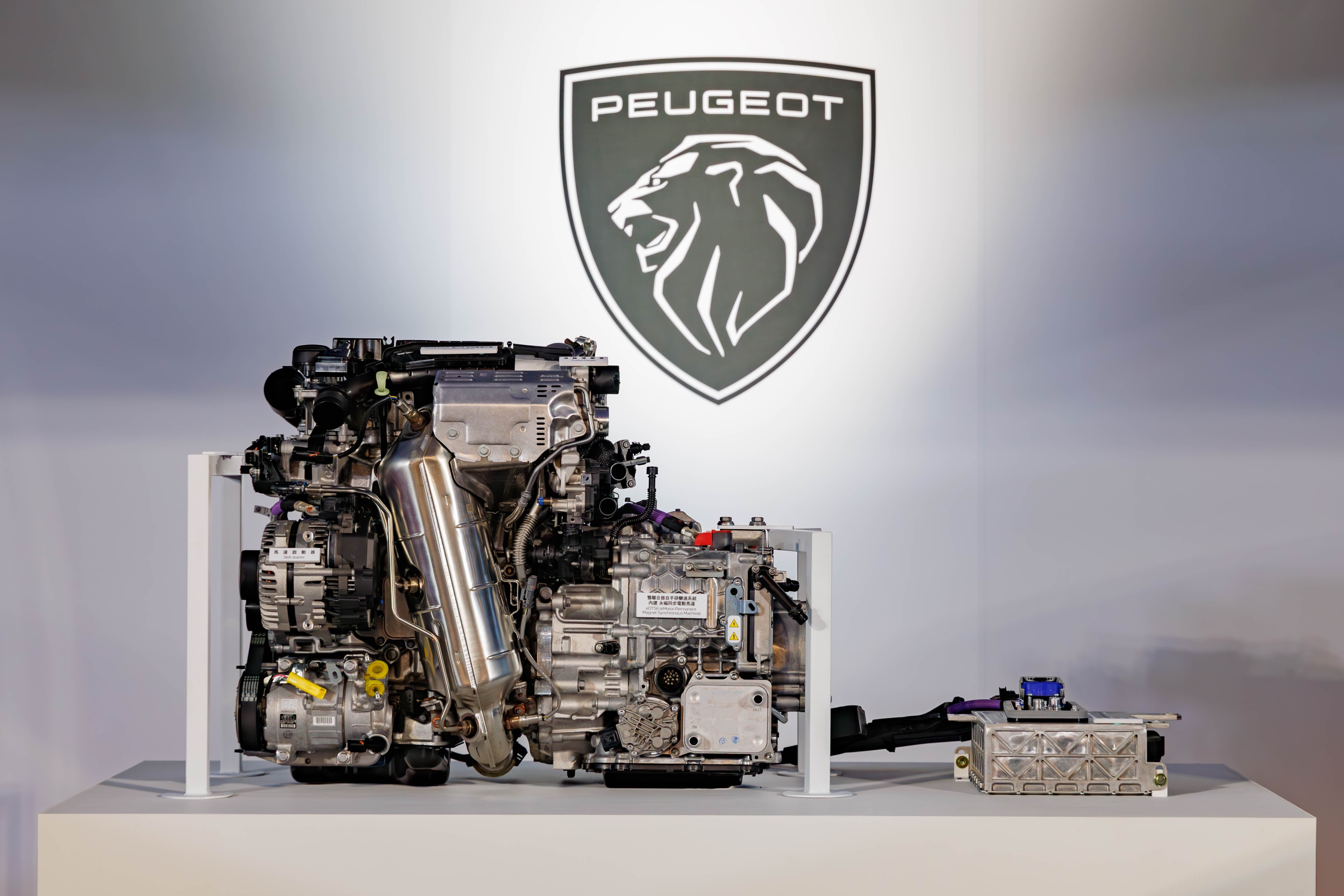 P2 HYBRID.jpg