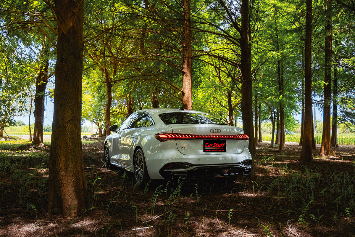 PTS_FXT40173.jpg