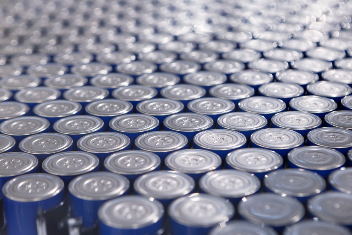 P90646680_lowRes_battery-cells-06-202.jpg