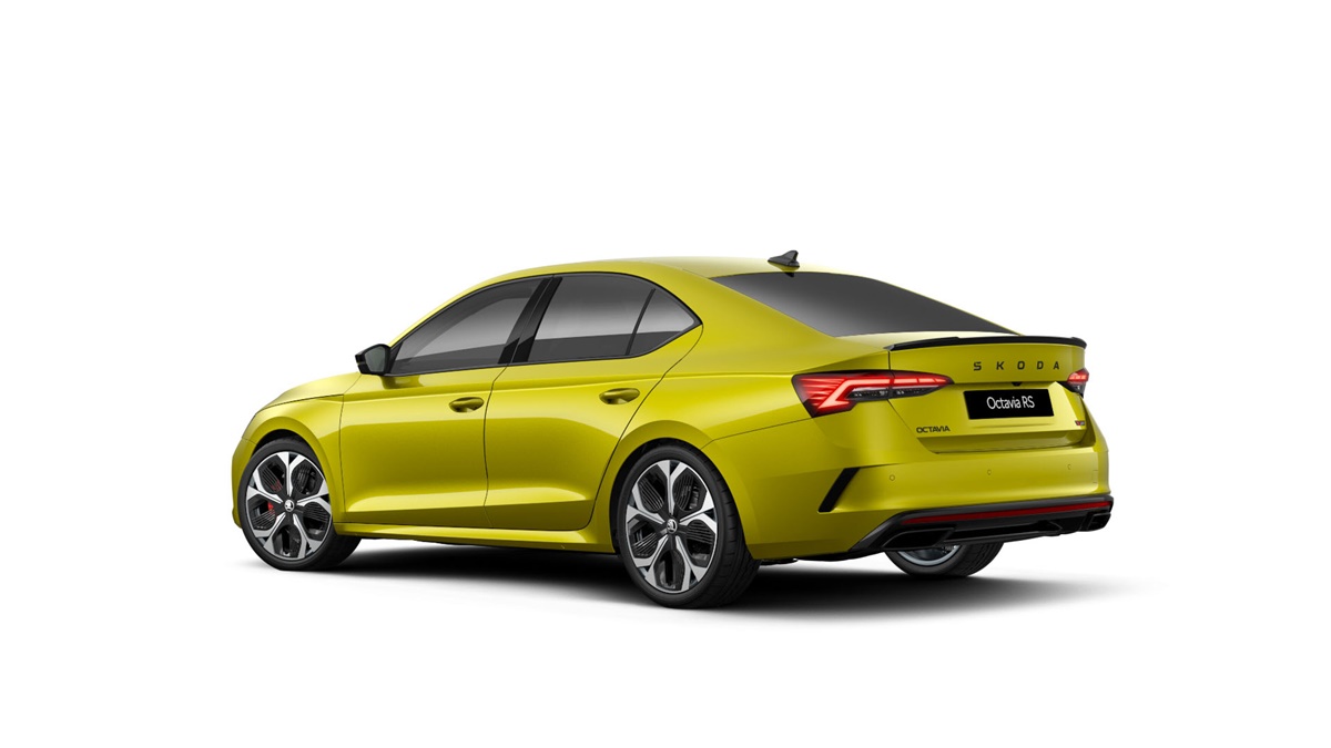 Dragon Skin rear Hatch.jpg