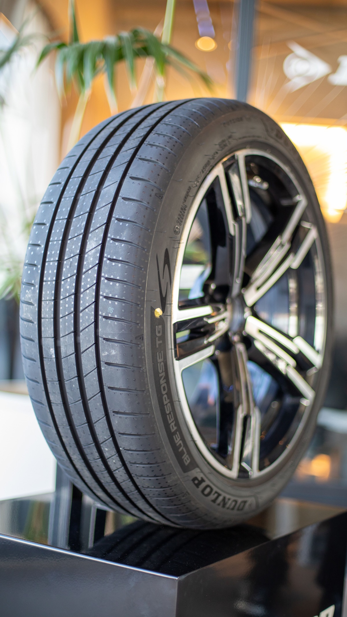 00 DUNLOP BLUE RESPONSE TG Front.jpg