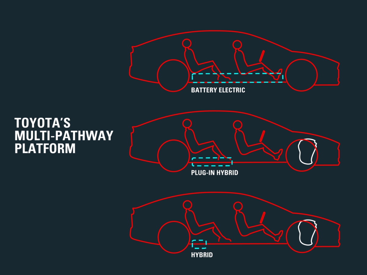 1920_multi-pathwayplatform.jpg