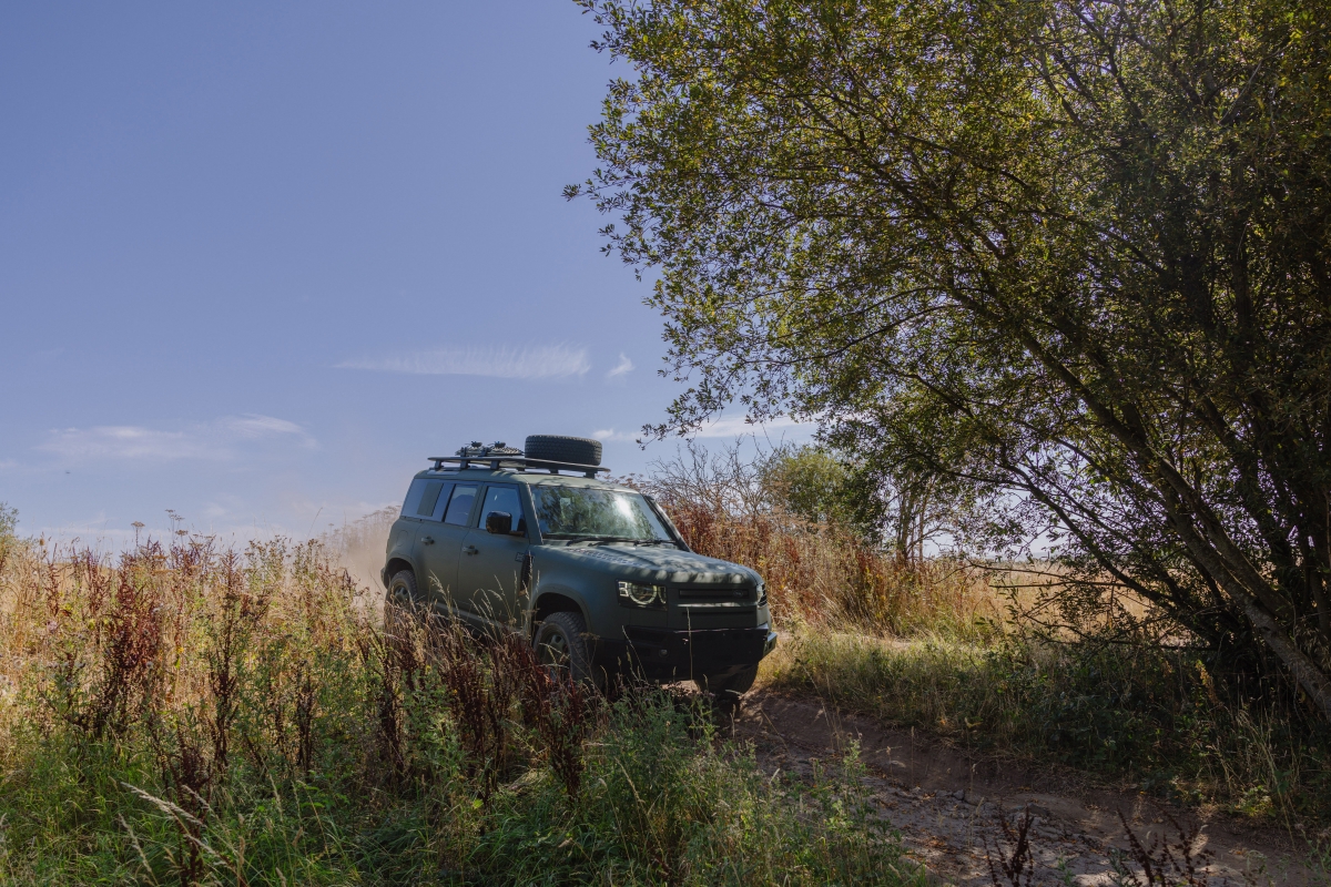 DefenderWolfSeriesII_FenEnd-7.jpg
